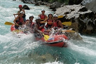 Sport Agencies
