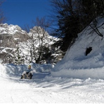 SleddingonMangart.jpg